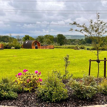 Cairnfold Cabins Kilsyth المظهر الخارجي الصورة