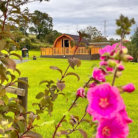 Cairnfold Cabins Kilsyth المظهر الخارجي الصورة