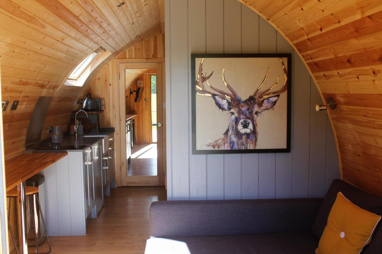 Cairnfold Cabins Kilsyth المظهر الخارجي الصورة