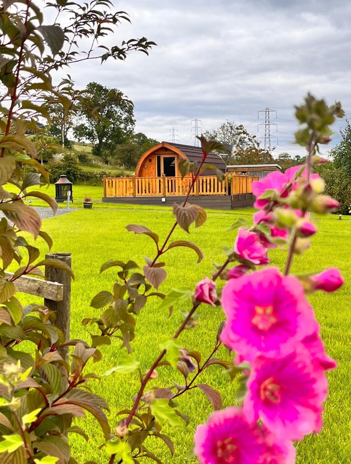 Cairnfold Cabins Kilsyth المظهر الخارجي الصورة